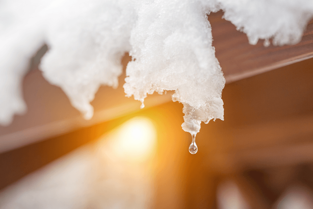 child on a push bike